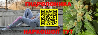 индика Ирбит