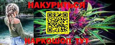 индика Ирбит