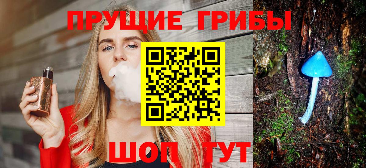 Галлюциногенные грибы Cubensis Камень-на-Оби