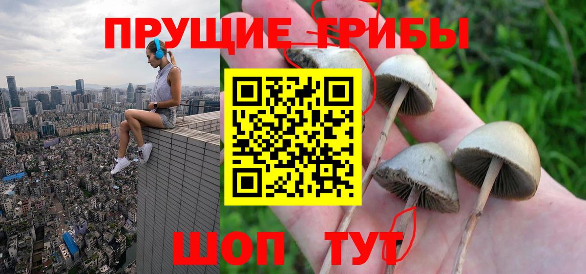 Галлюциногенные грибы Psilocybine cubensis  Галлюциногенные грибы Cubensis  Вход с VPN  купить наркотик  Камень-на-Оби 
